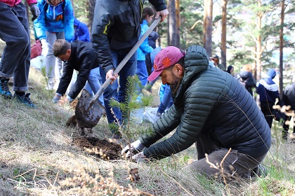 Депутаты Законодательного Собрания приняли участие в экологической акции «Посади дерево – подари планете жизнь»